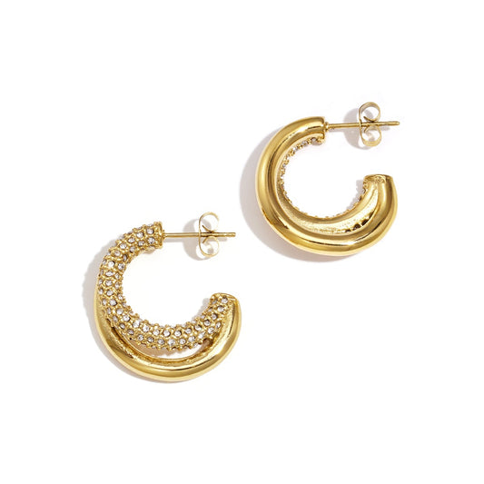 Leo Earrings 